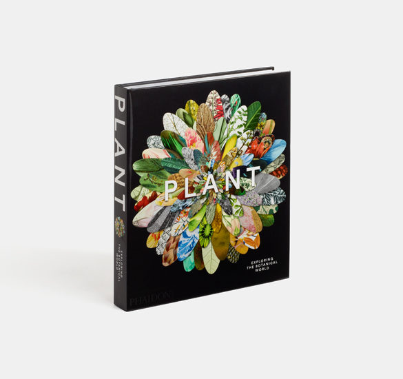 Plant by Phaidon Press